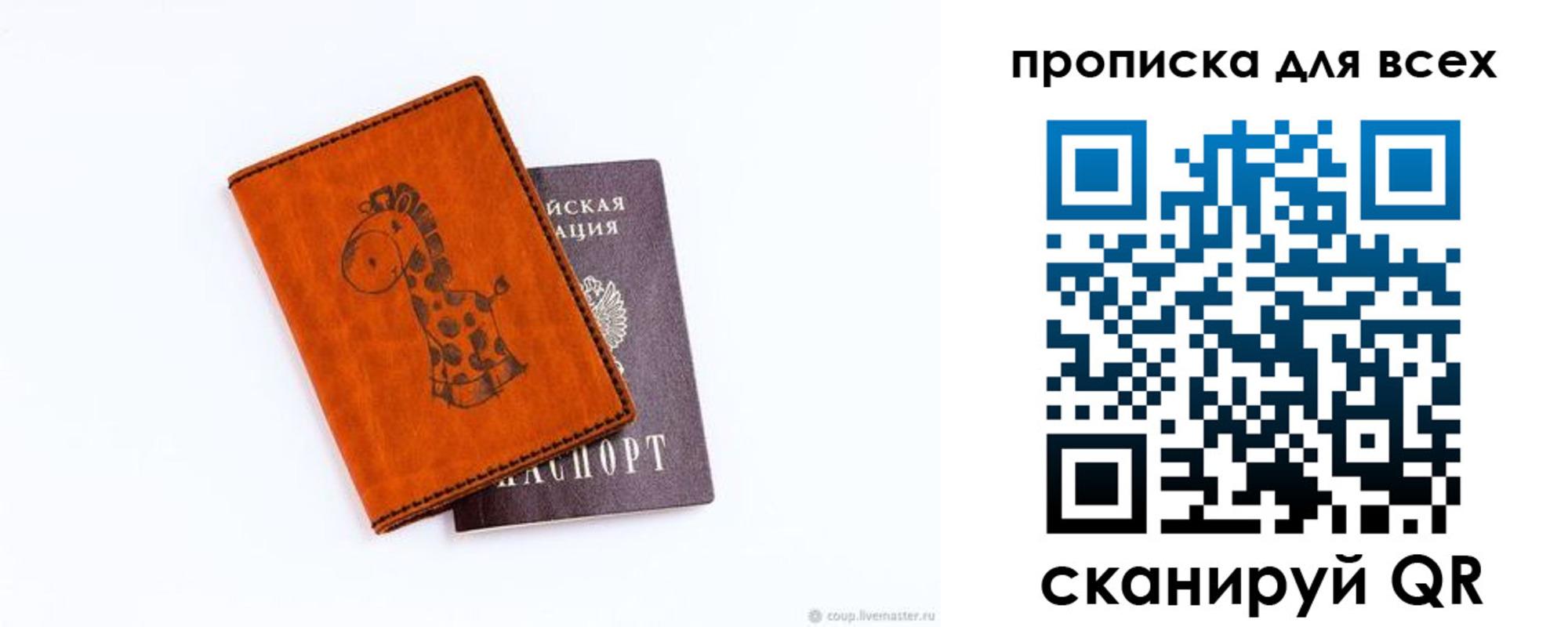 прописка в квартире в Большом Камне